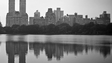Central Park Mirror